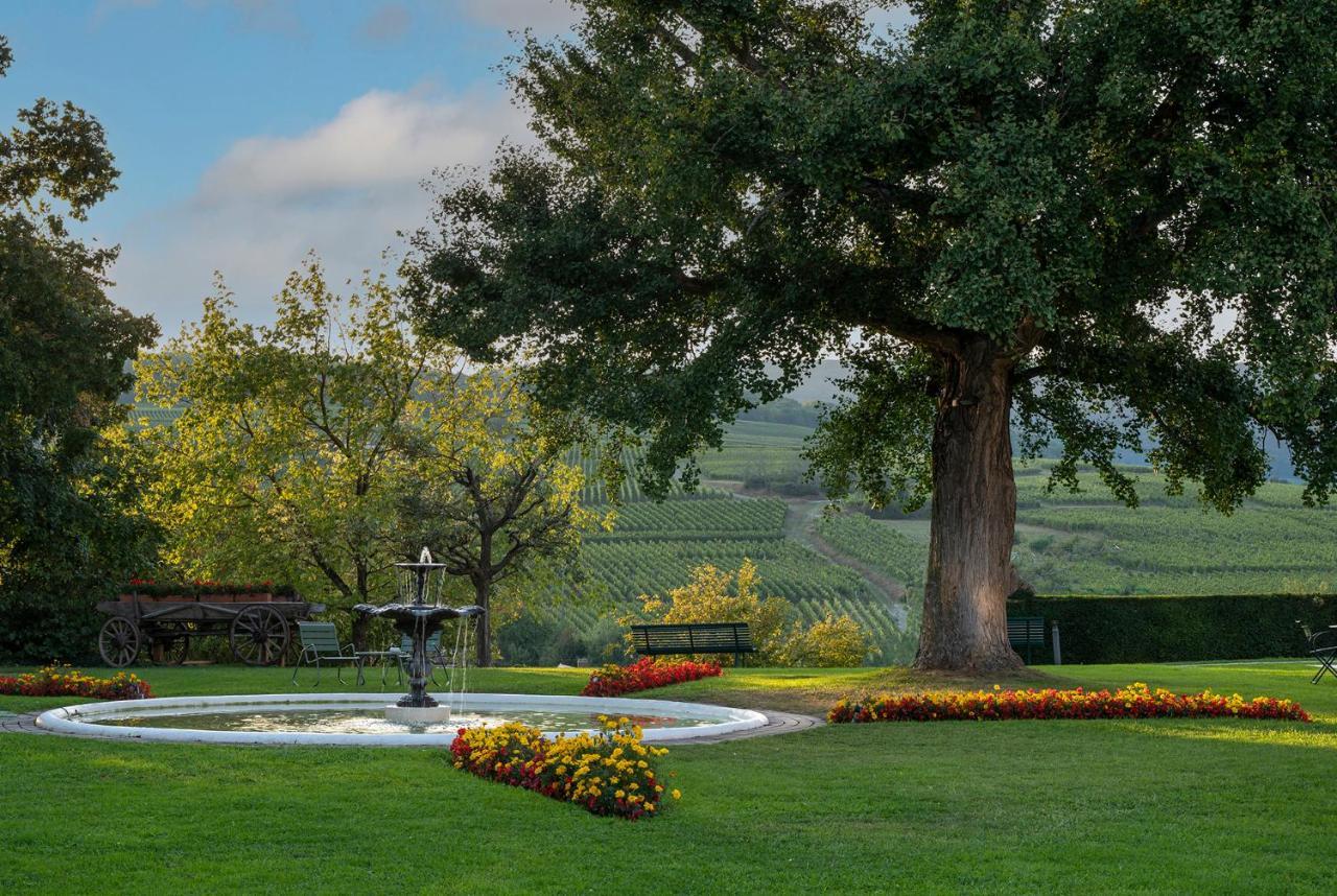 Chateau D'Isenbourg & Spa روفاك المظهر الخارجي الصورة