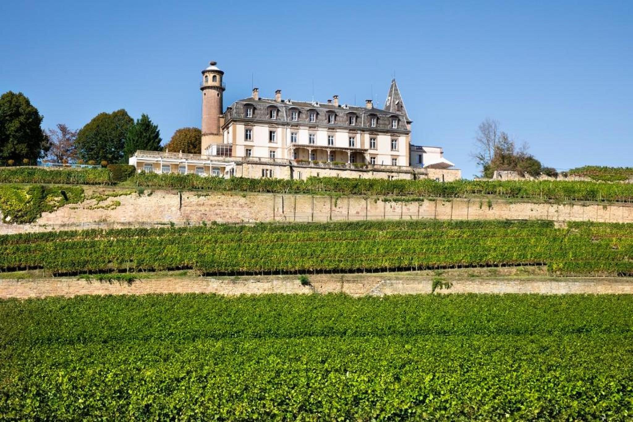 Chateau D'Isenbourg & Spa روفاك المظهر الخارجي الصورة