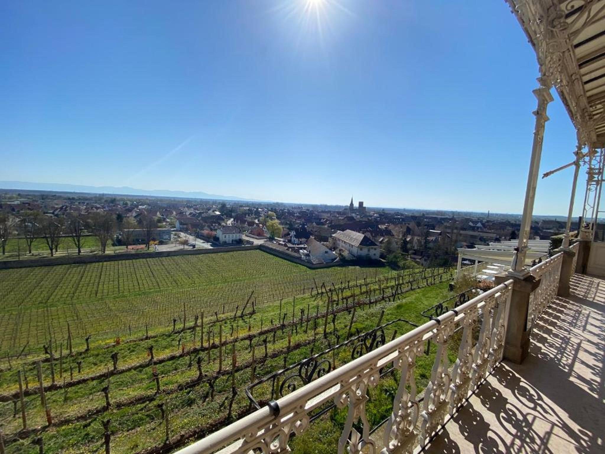 Chateau D'Isenbourg & Spa روفاك المظهر الخارجي الصورة